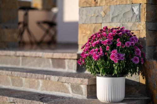 a white vase with purple flowers sitting on a brick wall at Vila Mira in Gračišče