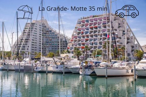 Příroda nedaleko prázdninového domu