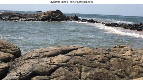 Phong cảnh thiên nhiên gần nhà khách