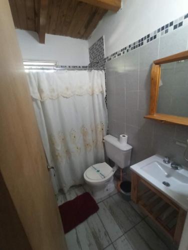 a bathroom with a toilet and a sink at Complejo EL ALTO in Tanti