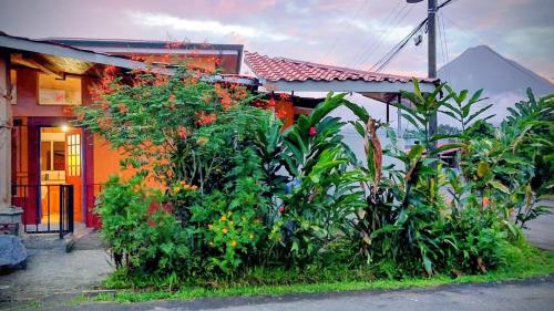 Κήπος έξω από το Casa Volcan Arenal