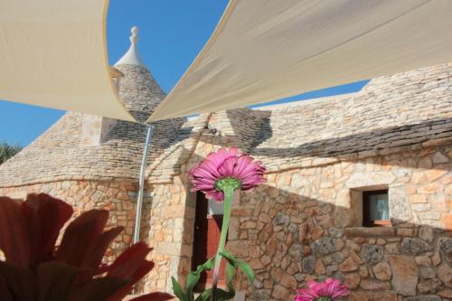 Billede fra billedgalleriet på Tenuta Mastricale con piscina - Torre Antica e Trullo i Putignano