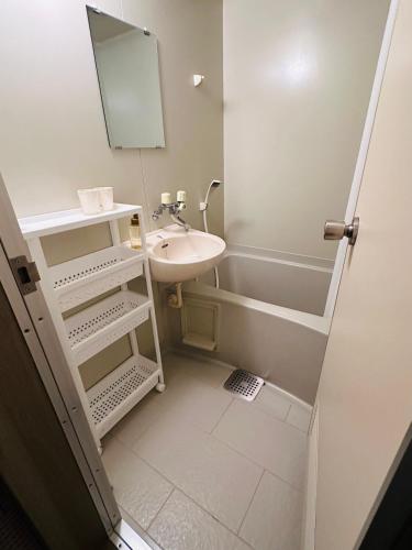 a small bathroom with a sink and a mirror at Echoland Madarao エコーランド斑尾 All en-suite rooms & a free 3-minute shuttle to the ski resort in Madarao Kogen