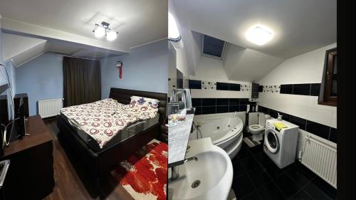 克拉约瓦Harmony Villa Craiova的一间带床、水槽和卫生间的浴室