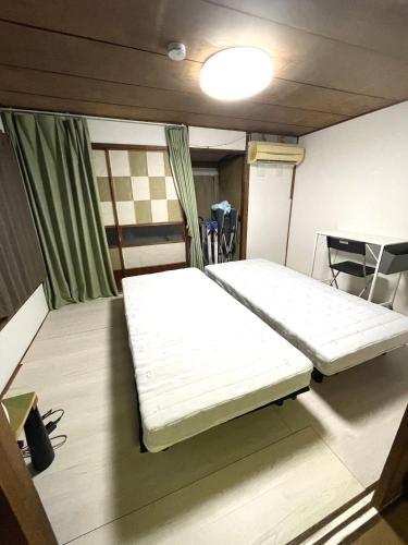 Mt Fuji sightseeing boat, sushi, tuna, tempura, and other Japanese cuisine Mid-Centry Shizuoka