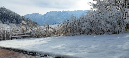 great view Sonnenblick 276-1 v zimě