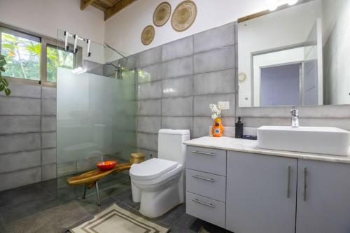 a bathroom with a toilet and a sink and a mirror at ProCab Kaya Apartments Cabarete in Cabarete