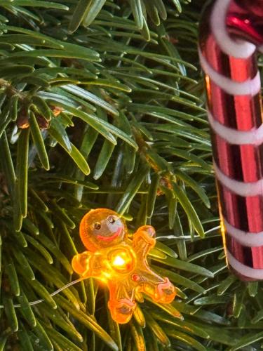 Un adorno navideño de un osito de peluche en un árbol de Navidad. en Chester's - Central Chester Stays - 2 Cuppin Street - 2 Minute Walk From Shops, en Chester