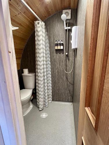 a small bathroom with a toilet and a shower at Woodside Round Pod in Fort William