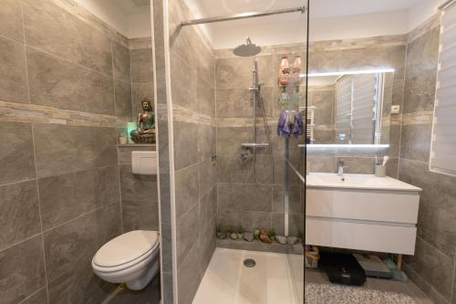 Modern apartment close to Cannes city center