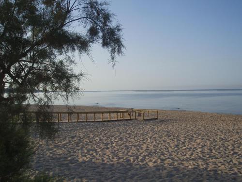 Gallery image of Hotel Costa D'Oro in Torre Ovo