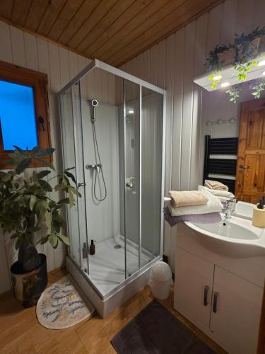 Vannituba majutusasutuses Chalet magnifique vue lac & piscine