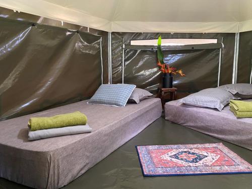 two beds in a tent with water in a room at Anatolia Retreat in Bentong