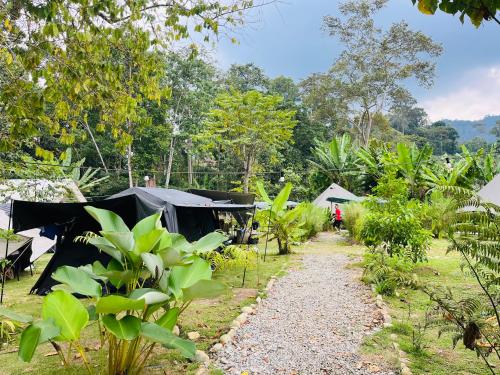 Příroda nedaleko luxury tent
