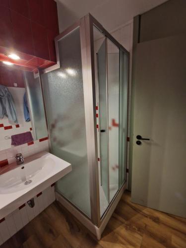 a bathroom with a shower and a sink at Lys Apartment in Gressoney-la-Trinité