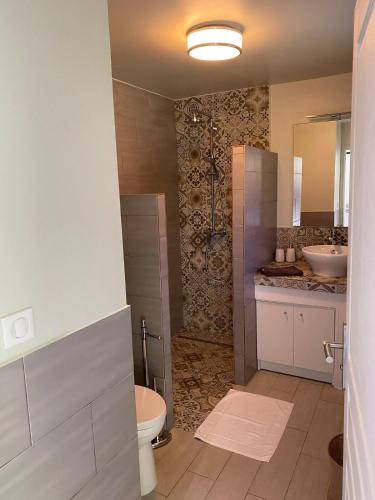 a bathroom with a toilet and a sink at Appart Flamboyant 1006 in Saint Martin