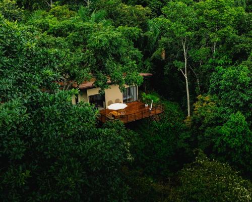 a house in the middle of a forest of trees at Maze Lodge - Boutique Hotel in Puerto Jiménez