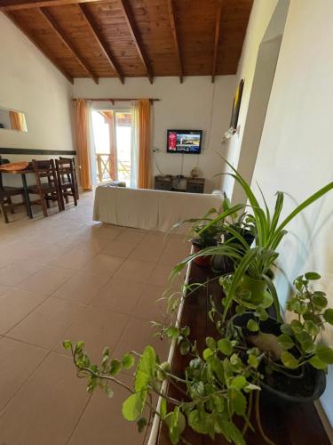 TV a/nebo společenská místnost v ubytování Cabañas Canluma