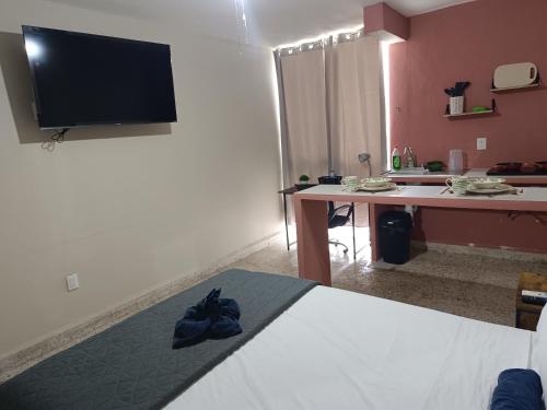 una habitación con una cama, un escritorio y un televisor en Suite 105 Cordoba centro y estacionamiento, en Córdoba