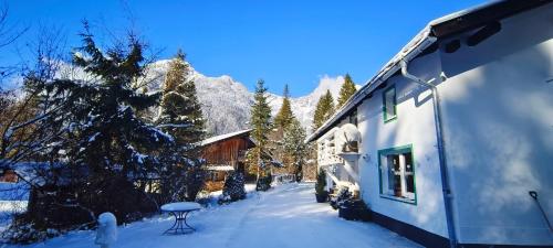 une cour enneigée avec un bâtiment et un arbre dans l'établissement Haus am Seebach Leutasch Weidach, à Leutasch
