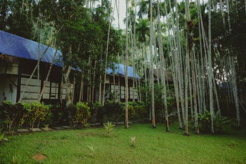 Κήπος έξω από το The Forest Elephant - Formerly known as the Flying Elephant