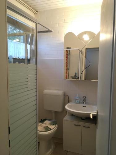 a bathroom with a toilet and a sink at Friesenkoje Tossens in Butjadingen