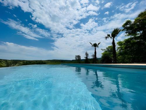 巴拉聚克Villa Balazuc的一座拥有蓝色海水和棕榈树的游泳池