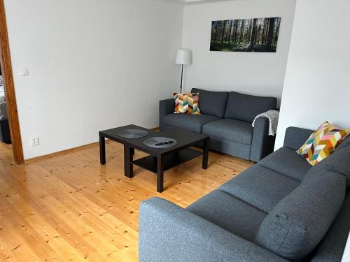 济泽罗河畔帕塞基Apartmán Bergschloss 6的有两张沙发和一张咖啡桌的客厅