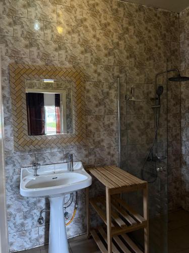 un bagno con lavandino, doccia e specchio di Woro Ladia a Conakry