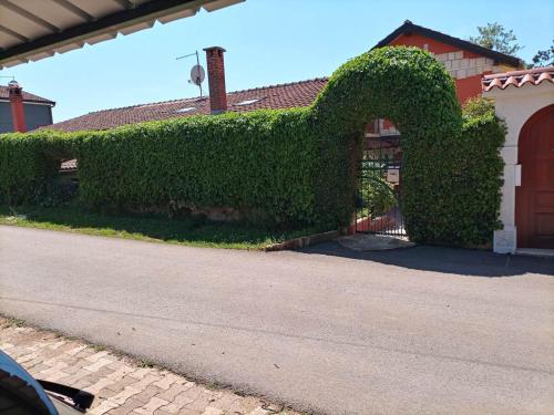 Studio 4222-3 for 2 Pers in Umag