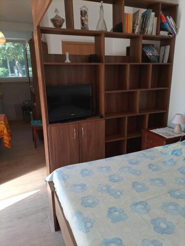 Studio 4222-3 for 2 Pers in Umag