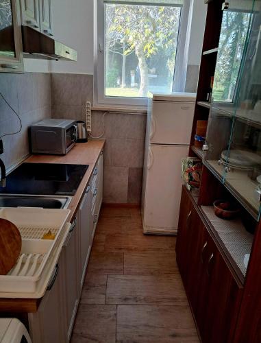Studio 4222-3 for 2 Pers in Umag