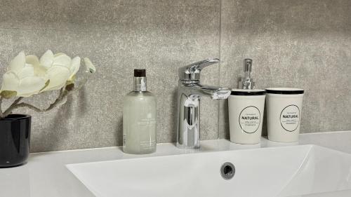 a sink with two bottles of soap and a bottle at Ideale City-Wohnung mit 2 Schlafzimmern & Parking in Dortmund