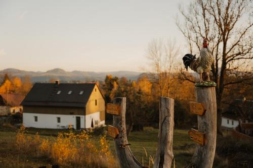 耶什赫维采Apartmány Vysoká v srdci Českého Švýcarska的一只鸡坐在两根木杆上