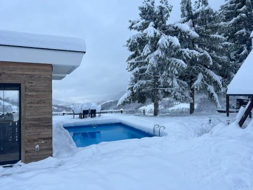 una piscina coperta di neve accanto a una casa di Mountain House LISINSKA ROSA a Brdo