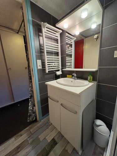 une salle de bain avec un lavabo, des toilettes et un miroir dans l'établissement Cocooning Auvergnat, à La Bourboule