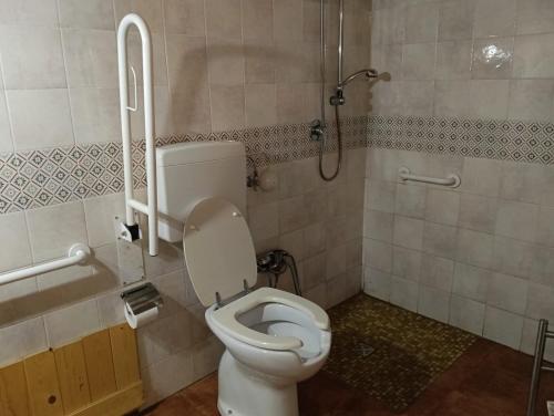 Un baño con inodoro y ducha en Agriturismo La Caraffara sull'Etna, en Puntalazzo