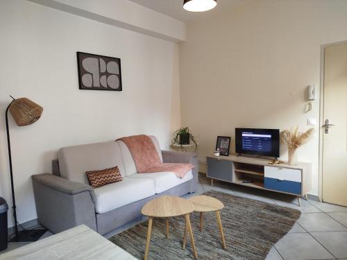 un salon avec un canapé et une télévision dans l'établissement Charmant appart avec balcon donnant sur place de la mairie, à Castelsarrasin