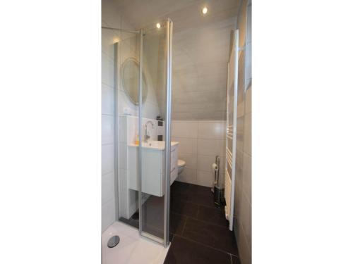 a bathroom with a shower and a sink at Ferienhaus Seeschwalbe in Dornumersiel in Dornumersiel