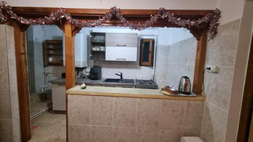 Kuchyň nebo kuchyňský kout v ubytování Pensiunea Mirela