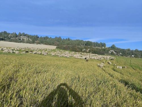 Paysage naturel près de la maison de vacances