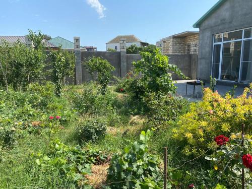 Φωτογραφία από το άλμπουμ του Дача σε Bilgah