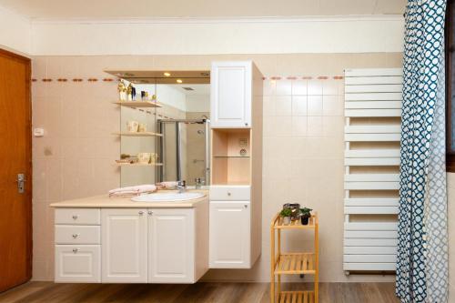 a bathroom with a sink and a mirror at L'Oustal 3 chambres avec grand jardin parking gratuit in Bram
