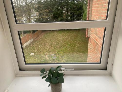 a window with a potted plant sitting on a window sill at Castle-View Apartment & Free Parking on Site in Dover
