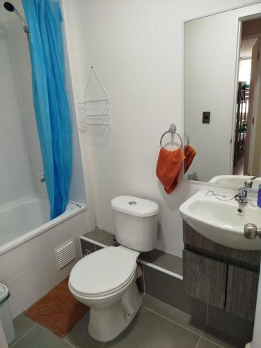 a bathroom with a white toilet and a sink at Depto con vista al Volcán y piscina in Villarrica