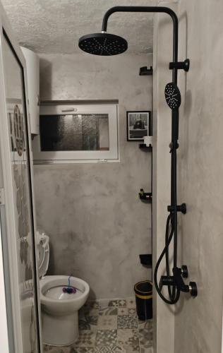 a bathroom with a shower and a toilet in it at Studio Dimon in Pleven