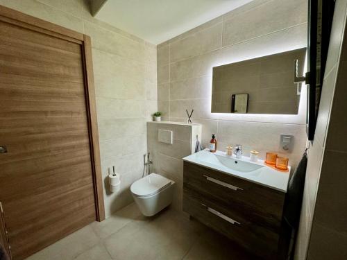 un bagno con un water, un lavandino e uno specchio di Cosy studio Noha a Thonon-les-Bains