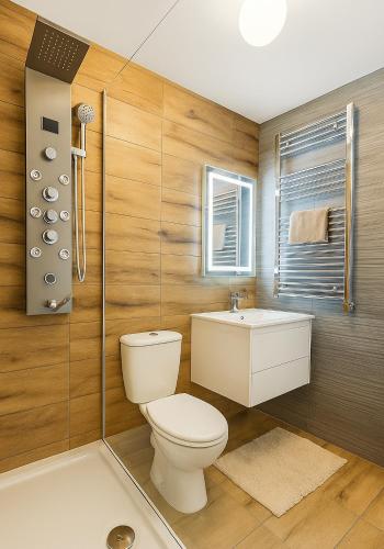 a bathroom with a toilet and a sink and a shower at 2 Bedroom Apartment Limerick City Centre in Limerick