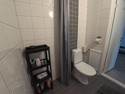 a bathroom with a toilet and a shower at Whole 3-room apartment, 10 min from malmo C & 2 min from shops in Malmö