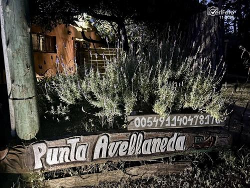 un panneau indiquant « rumpula americanapa » à côté de quelques plantes dans l'établissement Punta Avellaneda, à Punta del Diablo